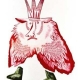 獅子 獅子